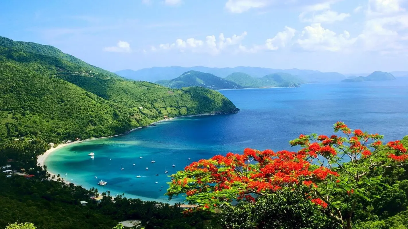 智慧高效智能化